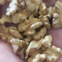 گرود رودشیر