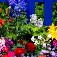 خدمات سمپاشی و باغبانی تخصصی سیار