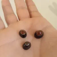 انگشتر یاقوت، سنگ های معدنی|جواهرات|اراک, |دیوار