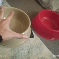 شامپو و ظرف غذای سگ