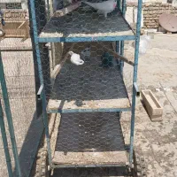 گنجه کفتر 3طبقه چرخ دار