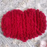 پادری قلب زرشکی