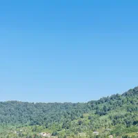 اگه دنبال زمین خوش اب هوا هستی حتما این زمینو ببین|فروش زمین و ملک کلنگی|شفت, |دیوار