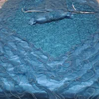 روتختی|سرویس روتختی|اسلام‌شهر, شهرک قائمیه|دیوار