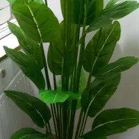 درختچه های مصنوعی