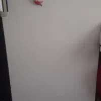 یخچال آزمایش