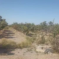 کارگر با خانواده