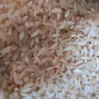 برنج  کامفیروری و خرده برنج کامفیرور و فجر|خوردنی و آشامیدنی|شیراز, میانرود|دیوار