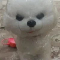 اسباب بازی سگ  با طری خور