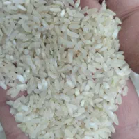 برنج محلی