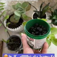 باردهی ده برابری باکودهای ارگانیک وگیاهی سبوسیب|گل و گیاه طبیعی|سلماس, |دیوار