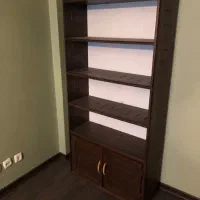 کتابخانه چوبی|کتابخانه، شلف، قفسه‌های دیواری|تهران, آرژانتین|دیوار