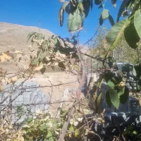 پردیس زمین ویلایی سند دار|فروش زمین و ملک کلنگی|پردیس, واصفجان|دیوار