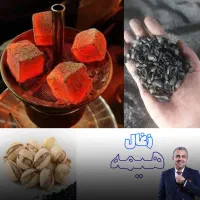 پخش سراسری زغال قلیان (پسته)