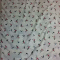 دوعددتشک نو