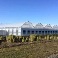 مصالح گلخانه سازه گلخانه فروش گلخانه