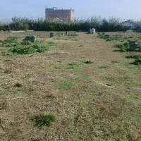 فروش زمین جاده دریا منطقه آزاد مازندران ،ساری|فروش زمین و ملک کلنگی|آکند, |دیوار