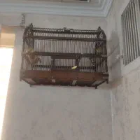 یک عدد قفس دستبافت چوب گردو