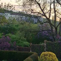 فروش زمین کلاردشت