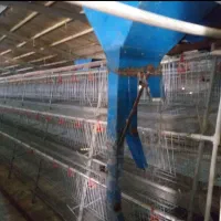 قفس مرغ گلپایگانی و صنعتی