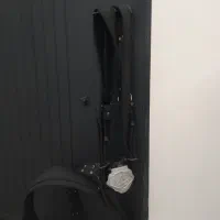 کمربند علم بری