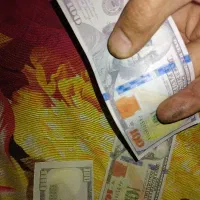 حراج صددلاری جدید تزئینی فانتزی مشابه|کلکسیون سکه، تمبر، اسکناس|اصفهان, کردآباد|دیوار