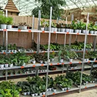 قفسه ضد زنگ گلخونه ای