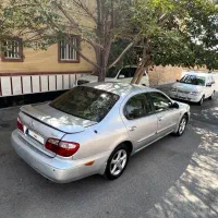 ماکسیما نقرای مدل ۸۱