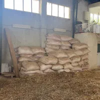 کارگر ساده تا ۲۸ میلیون تومن|استخدام صنعتی، فنی، مهندسی|توتکابن, |دیوار