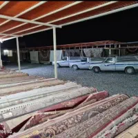راننده و کارگرساده جهت کار در قالیشویی