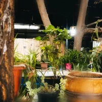 استخدام همکار باریستا - ظرفشور - ویتر