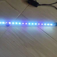 اکواریوم شیشه اصلی مقاوم|ماهی|مشهد, کارمندان دوم|دیوار