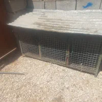 قفس جای مرغ