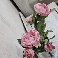 اجاق گاز ایران صدف