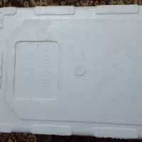 کائوچو برا ماهی|ماهی|هندیجان, |دیوار