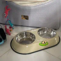 وسیله سگ و گربه|لوازم جانبی حیوانات|قدس, شهرقدس|دیوار