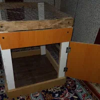 قفس پرنده