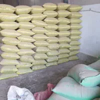 تفاله نیشکر هزینه درمان کمتر با تغذیه  سالم++ دامی