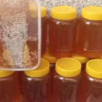 چای بهاره ممتاز لاهیجان قیمت عمده از کارخانه|خوردنی و آشامیدنی|بروجرد, |دیوار