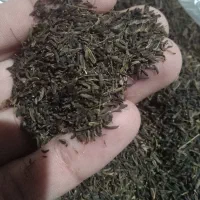 زیره‌کوهی‌‌۳کیلو