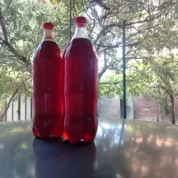 دوشاب خانگی