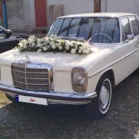 اجاره ماشین عروس|خودرو اجاره‌ای|دابودشت, |دیوار