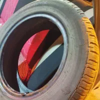 لاستیک گلدستون