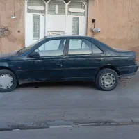 مرغابی