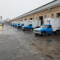 استخدام