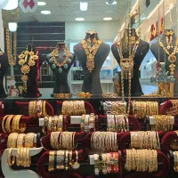 بدلیجات طرح طلای پردیس|بدلیجات|بوشهر, |دیوار