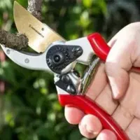 قیچی باغبانی  حرفه ای|ابزارآلات|کرمان, |دیوار