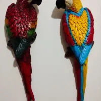 طوطی دیوار کوب