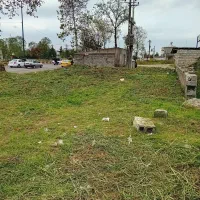 خدمات باغی چمنزنی علفزنی علفتراشی لی زنی تمشک زنی|خدمات باغبانی و درختکاری|رشت, گیل|دیوار