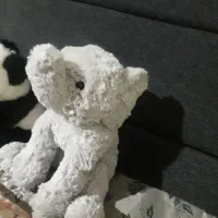 دوتا عروسک سالم هردو با هم ۵۵۰|اسباب‌بازی بچه|اصفهان, سپاهان‌شهر|دیوار